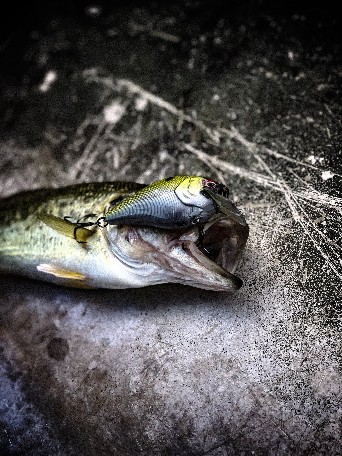 Hard Baits