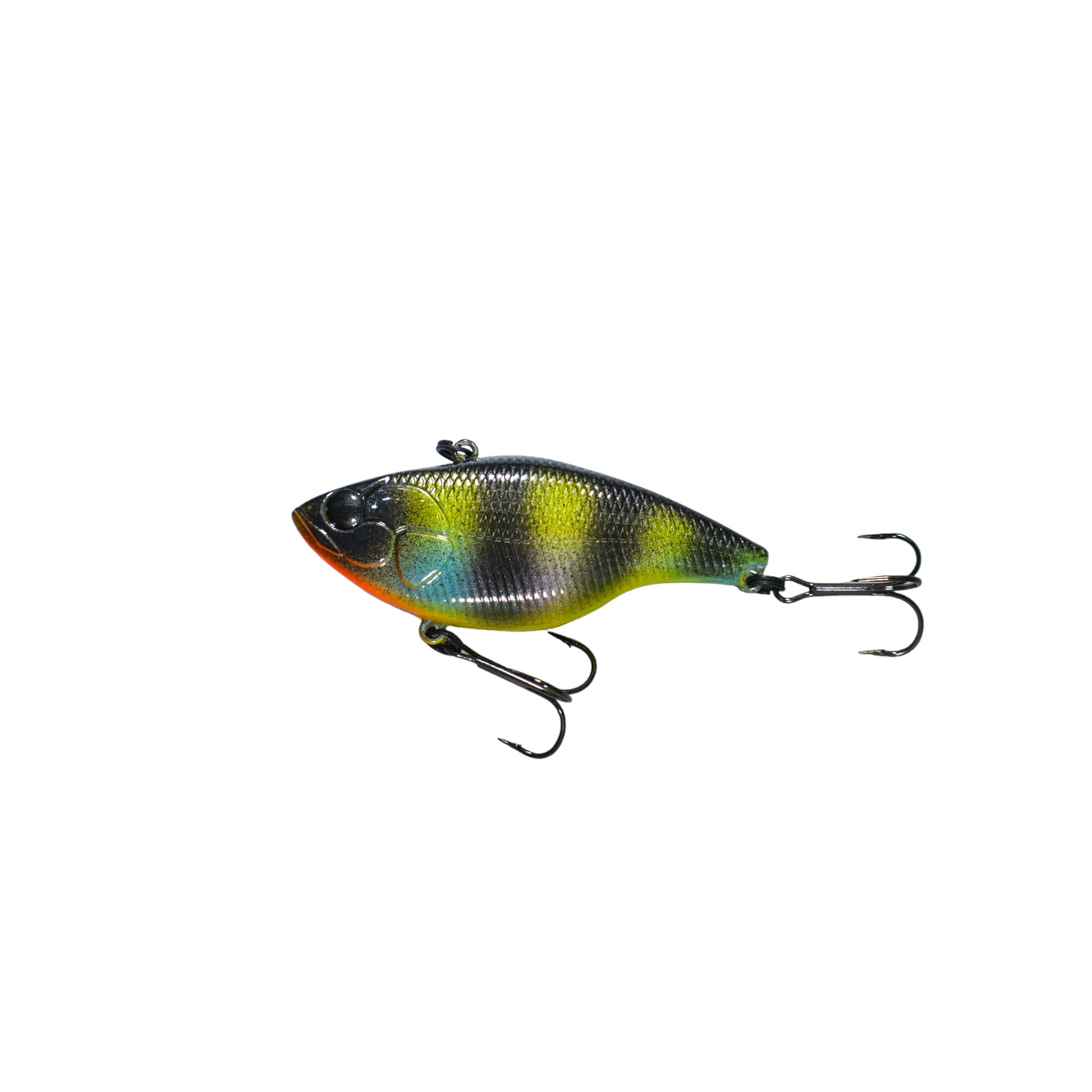 Bluegill
