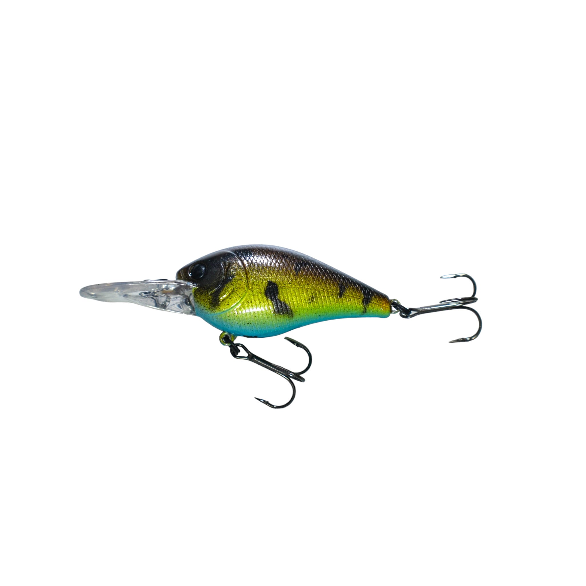 Mud Craw