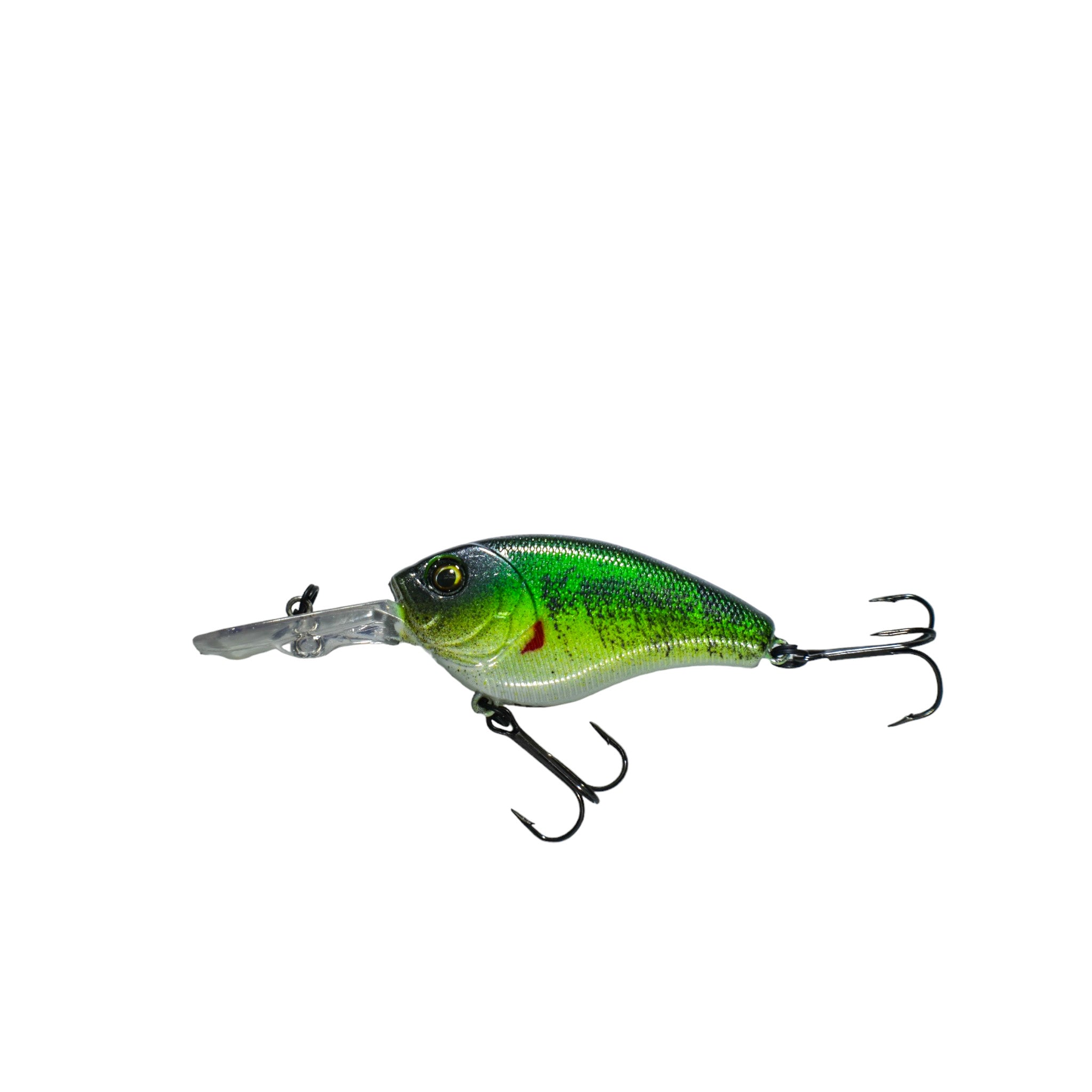 Baby Bass