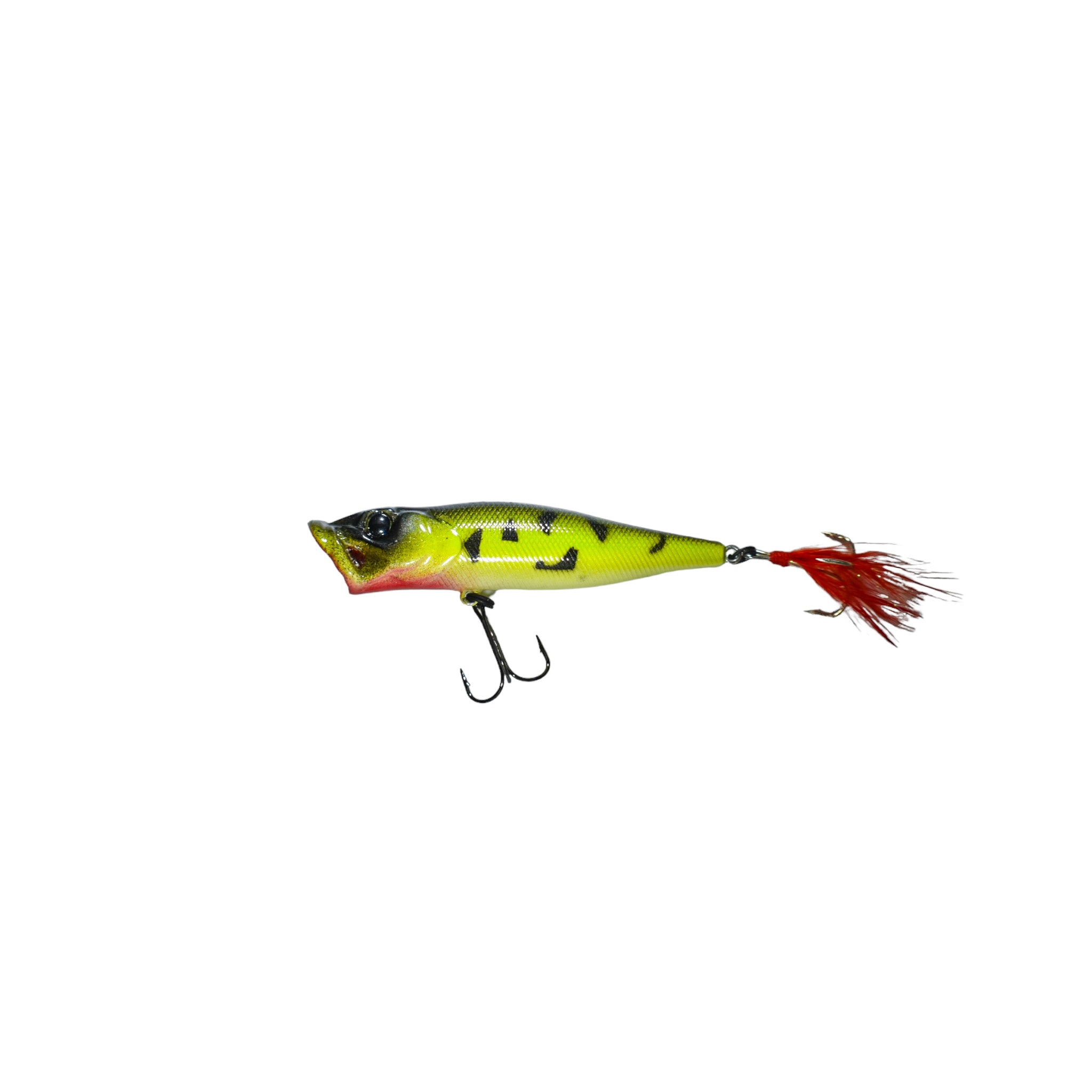 Frog Craw