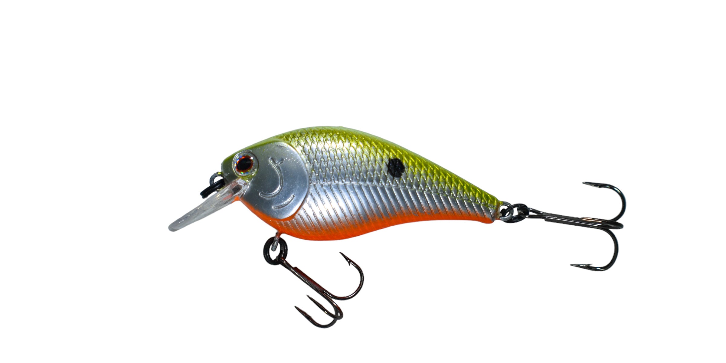 Green Back Shad
