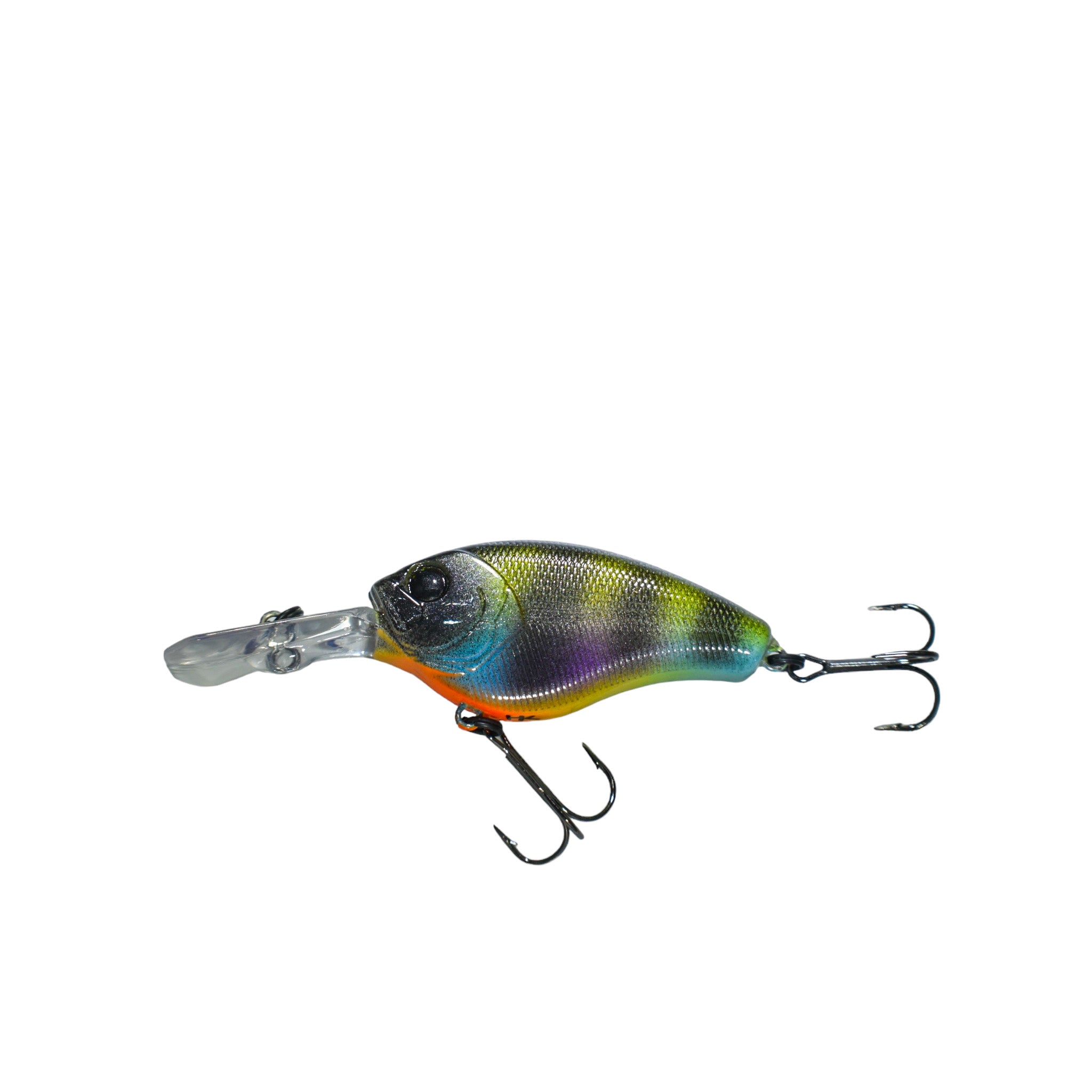 Bluegill