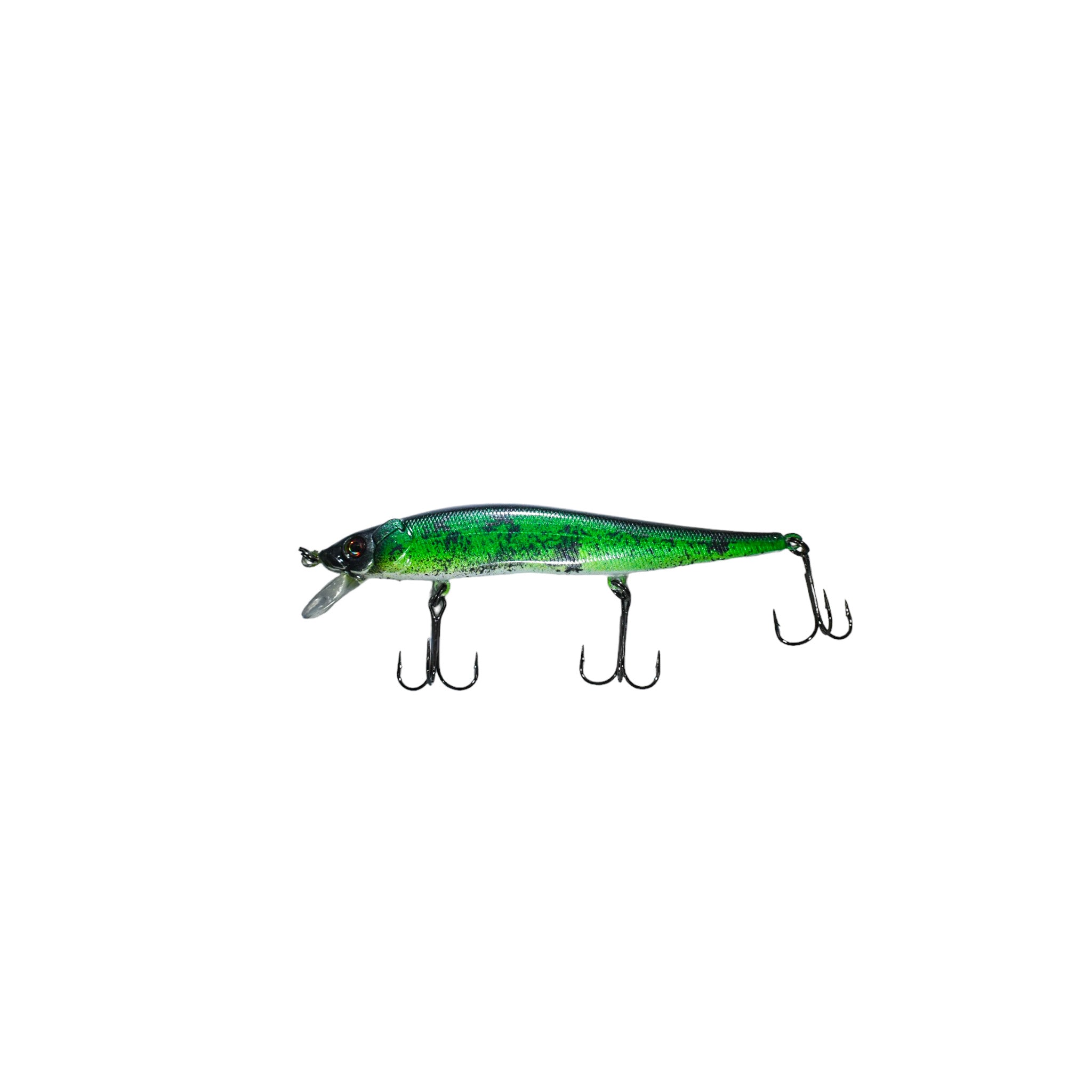 Baby Bass