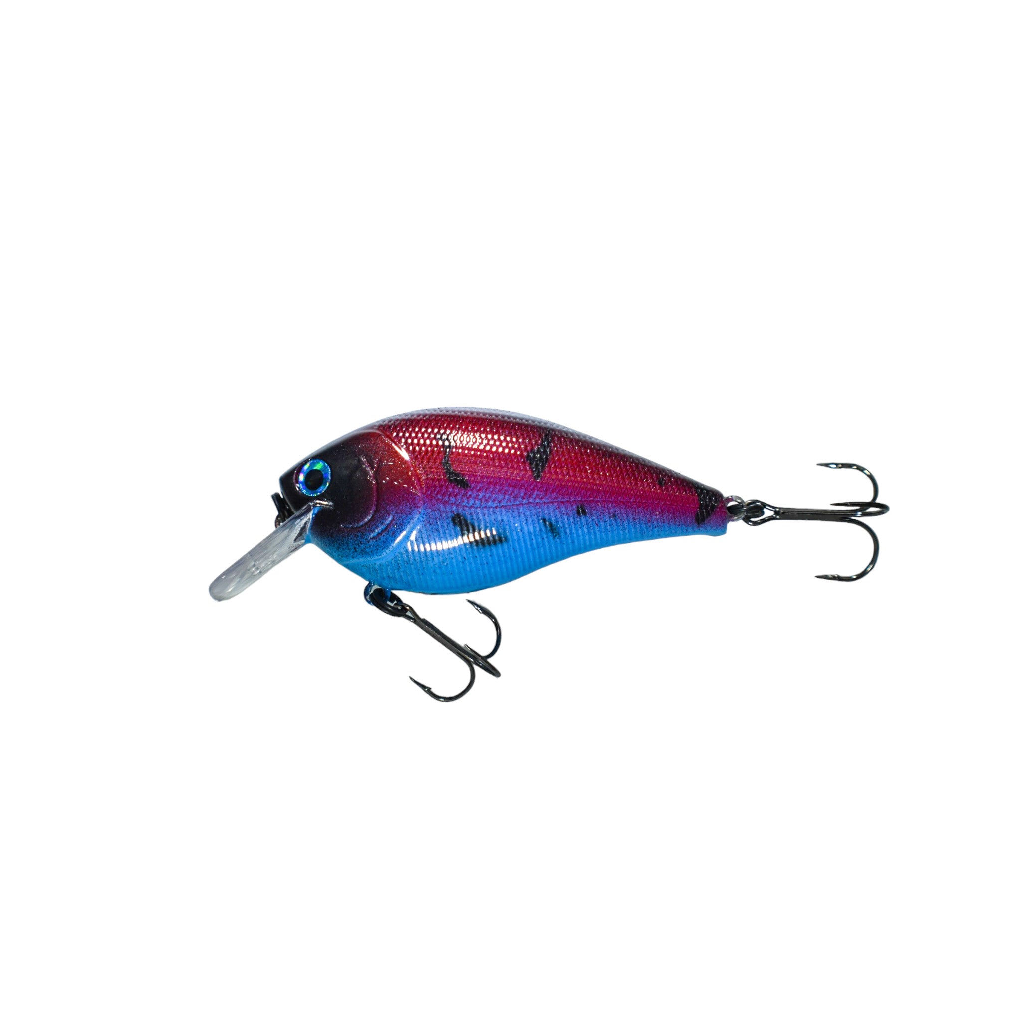 Craw Boil