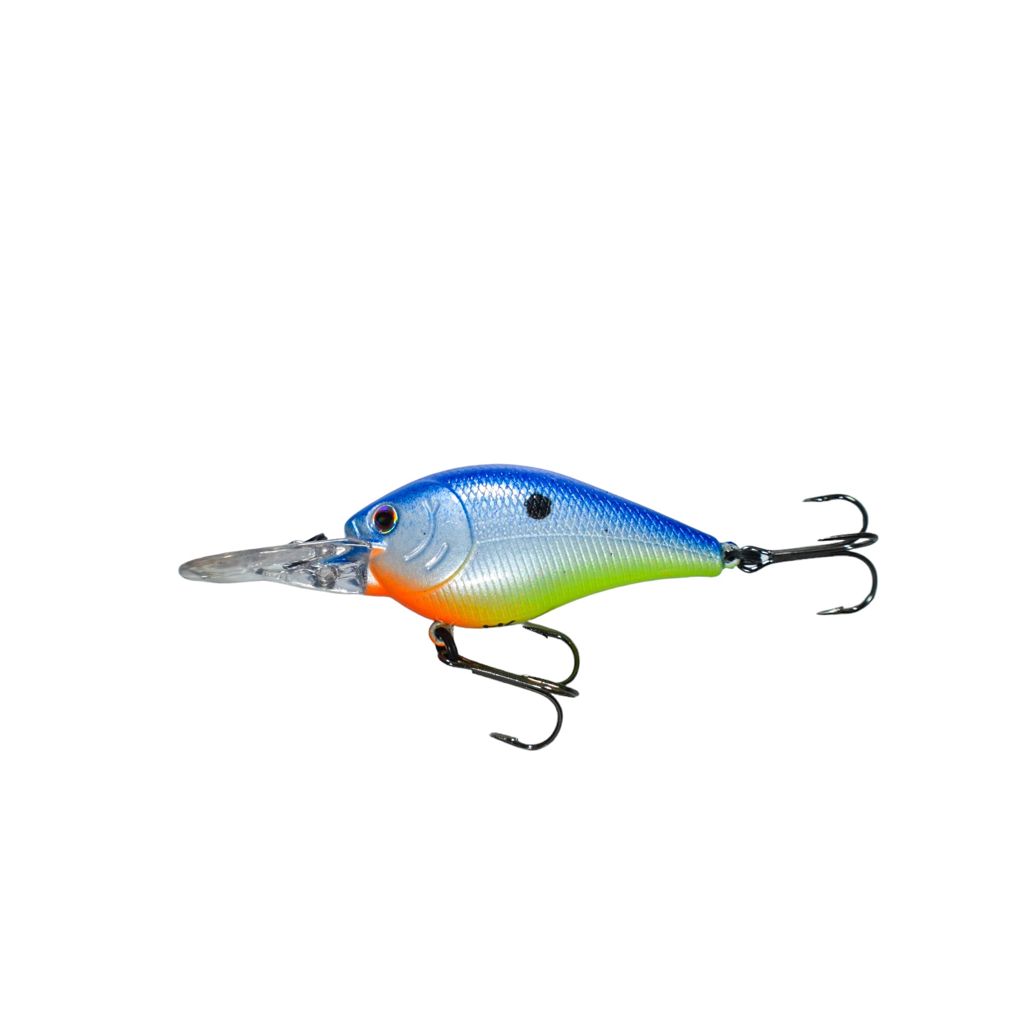 Shad Highlight