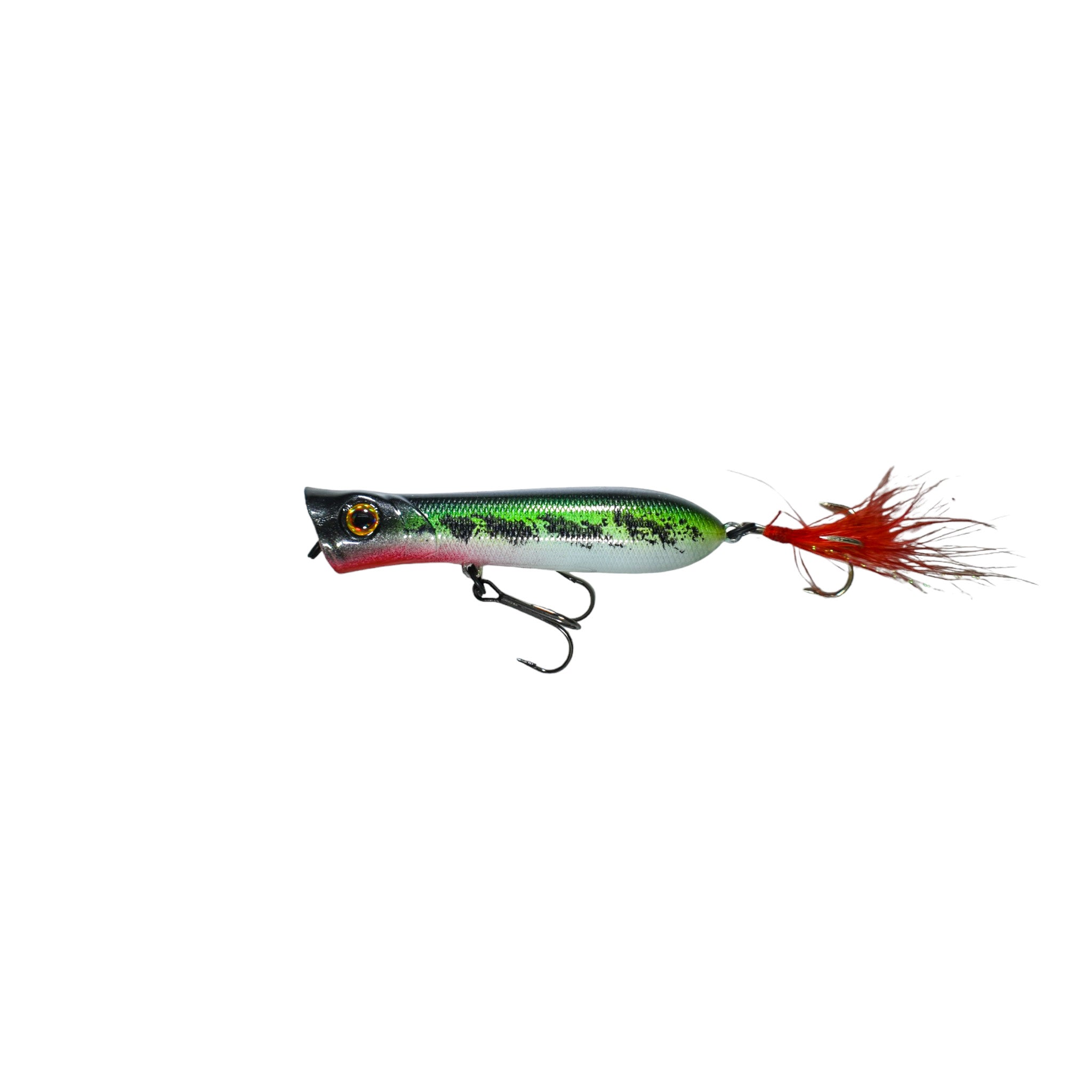 Baby Bass