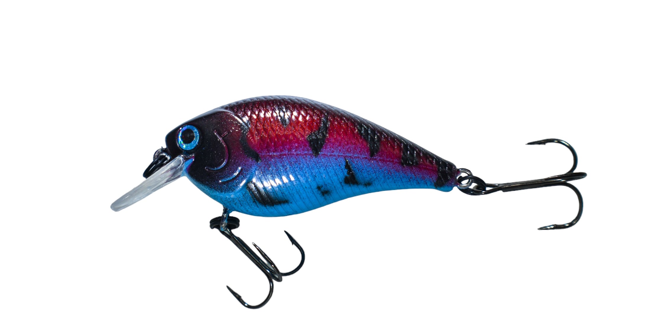 Craw Boil