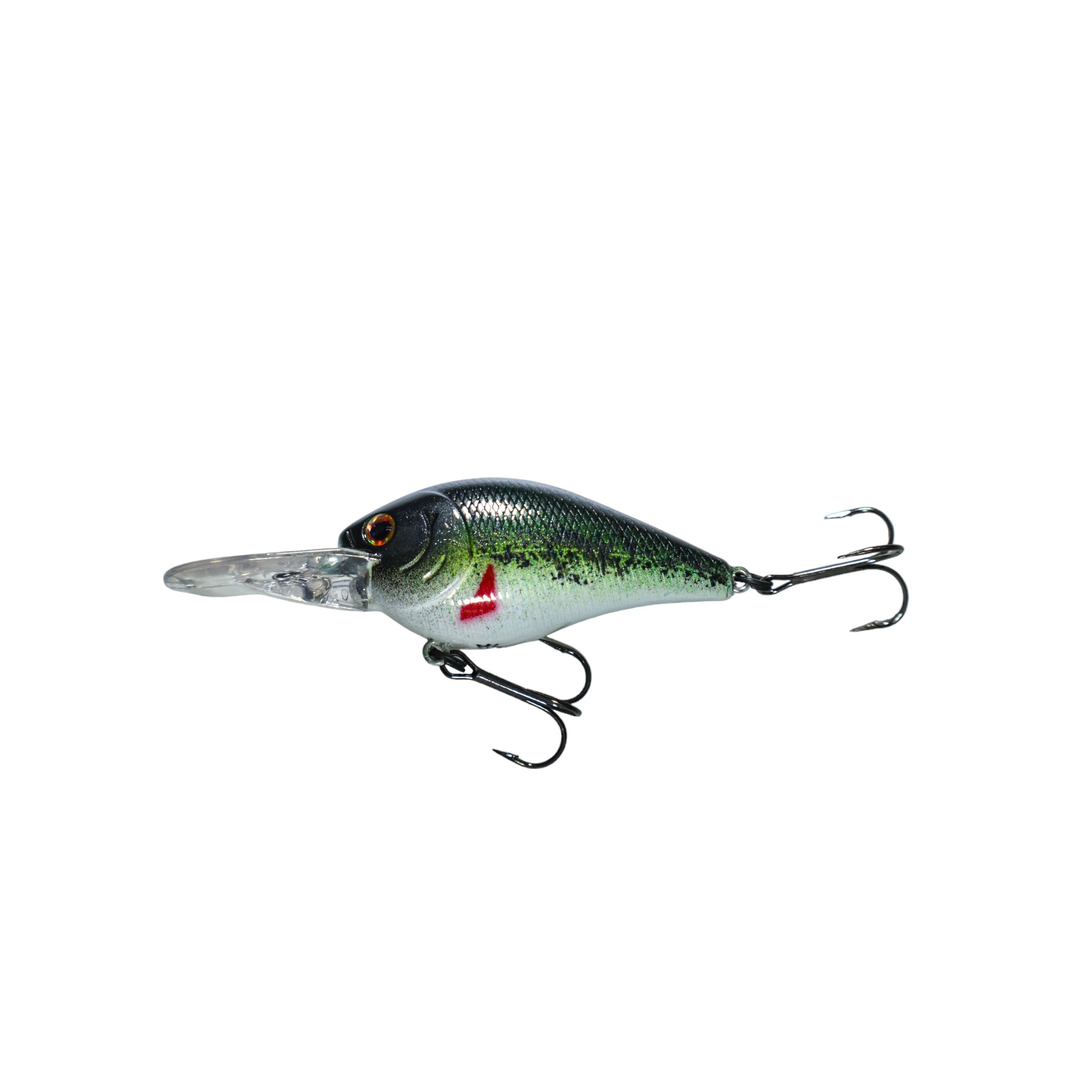 Baby Bass