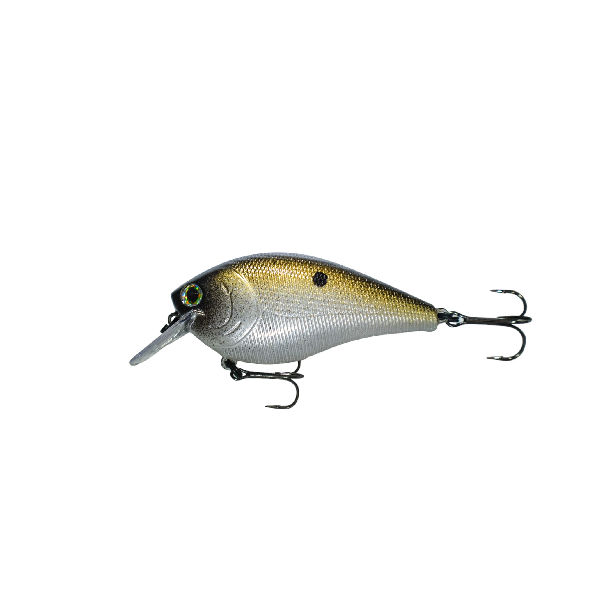 Shiner Shad