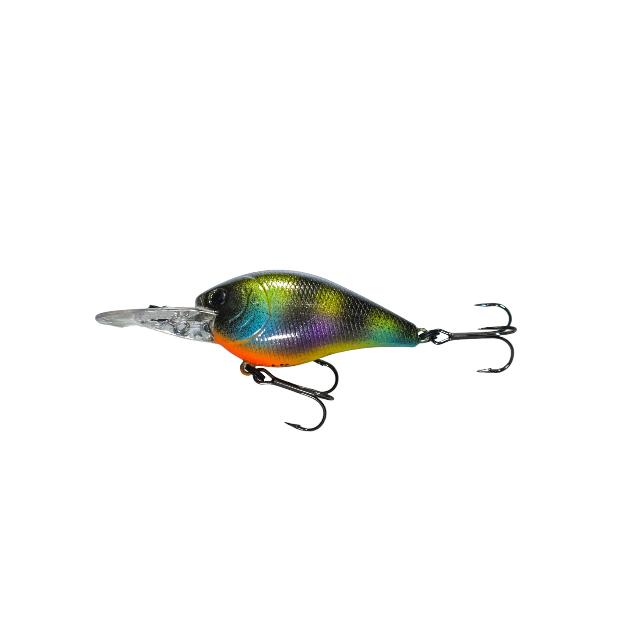 Bluegill