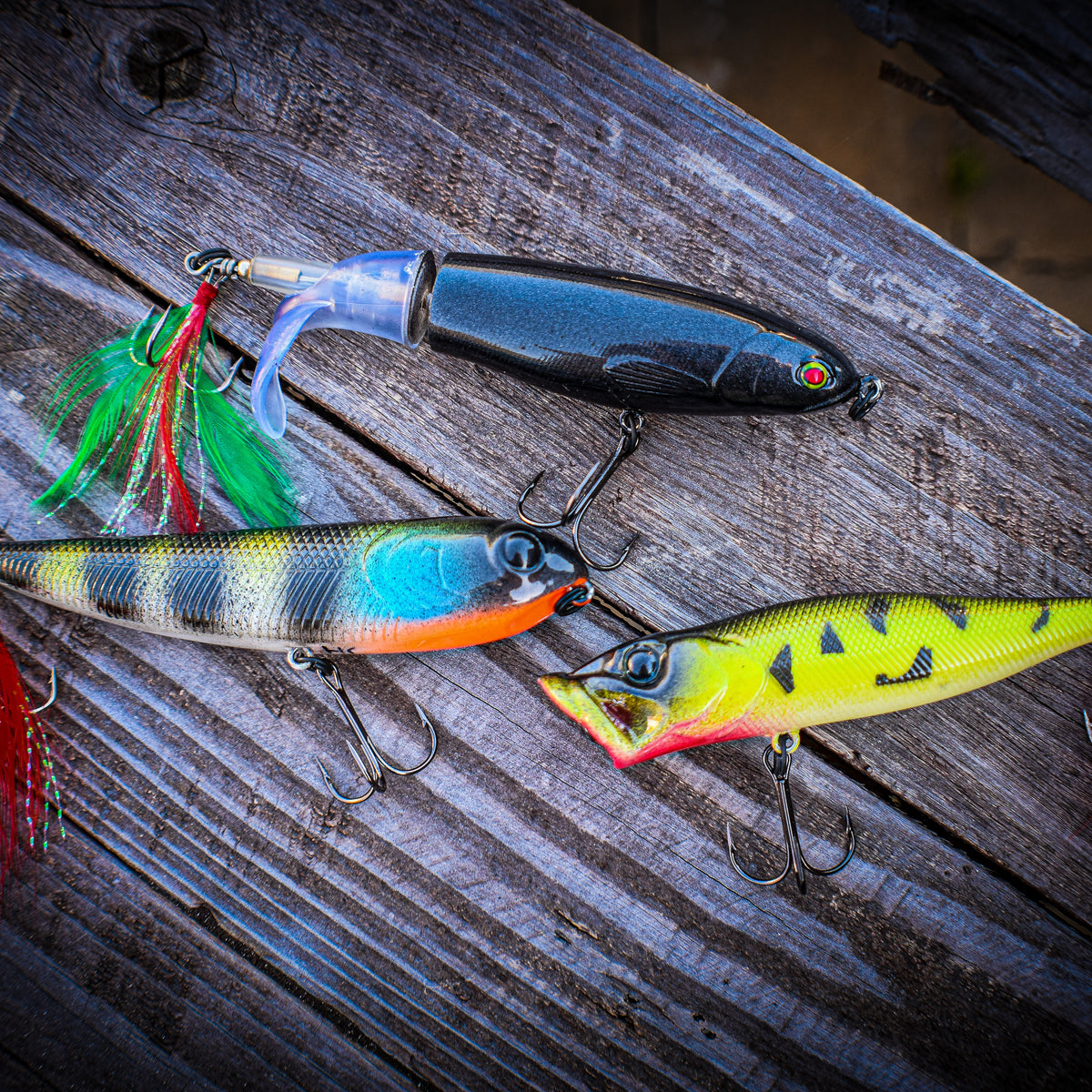 Topwater Bundle