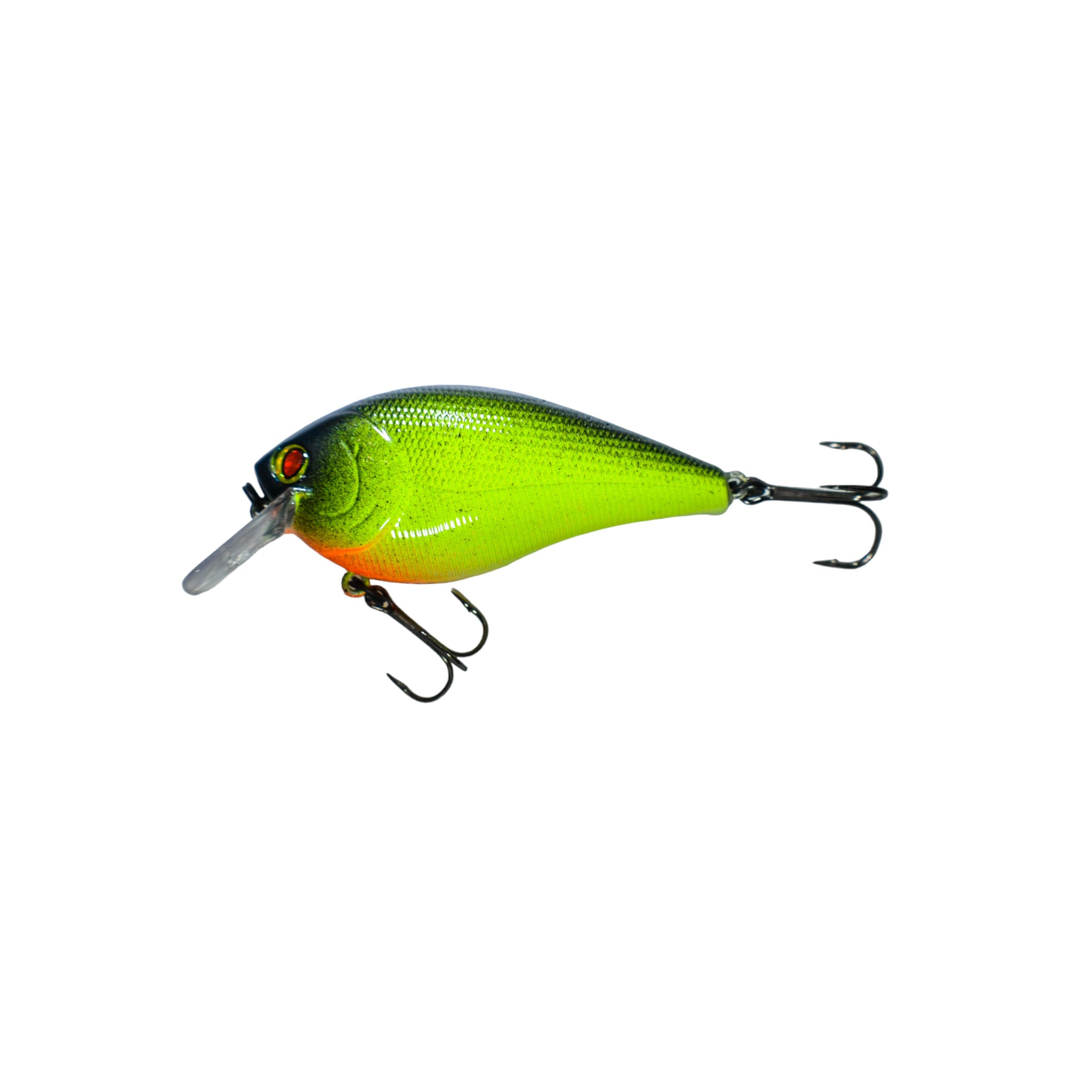 Blue Back Chartreuse