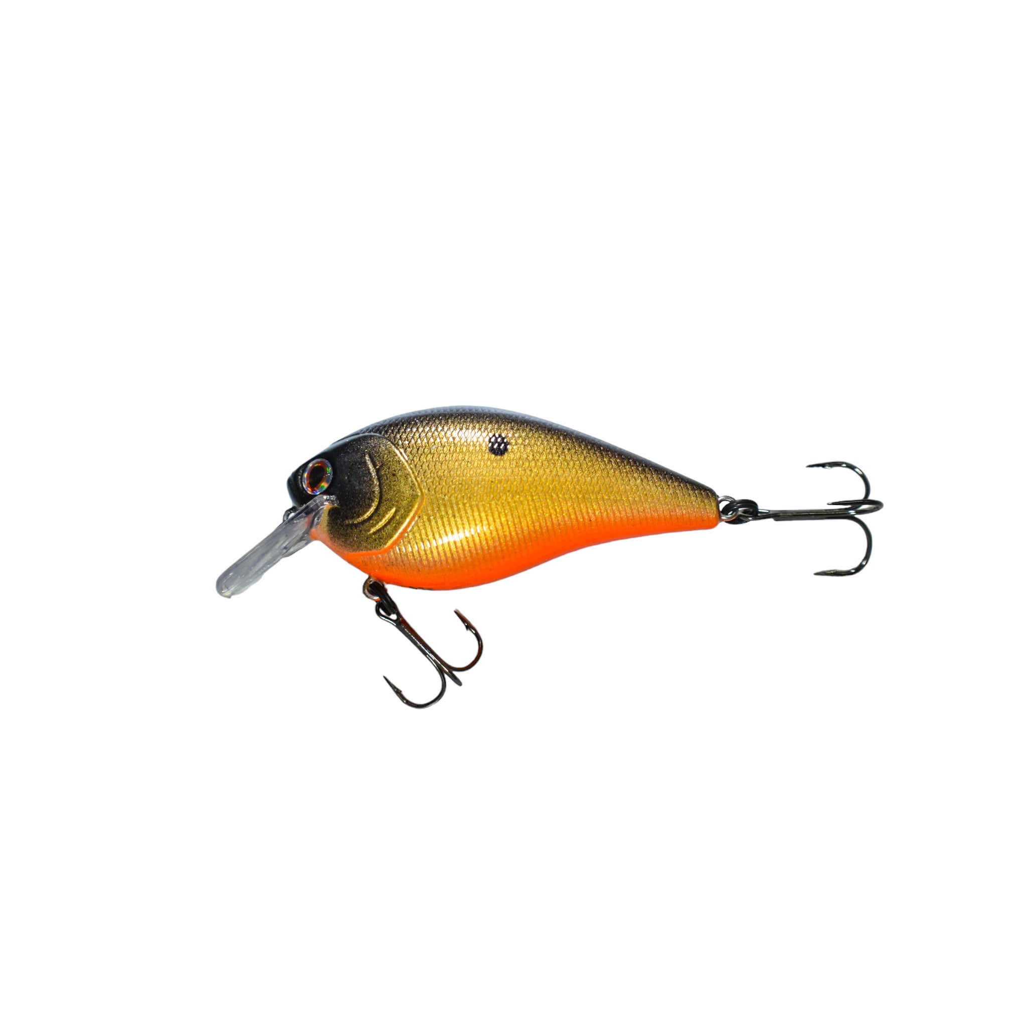 Goldfish