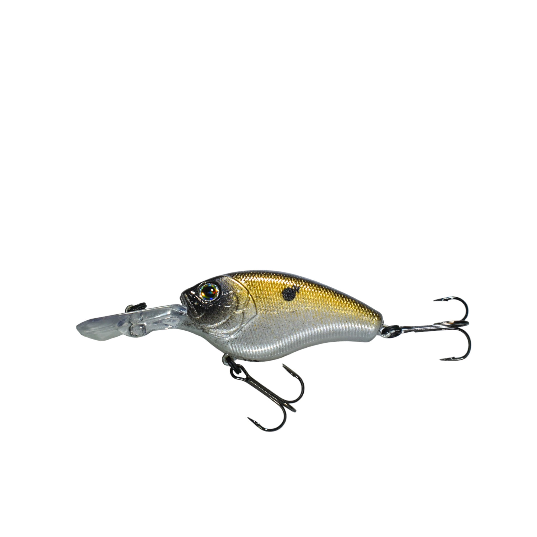 Shiner Shad