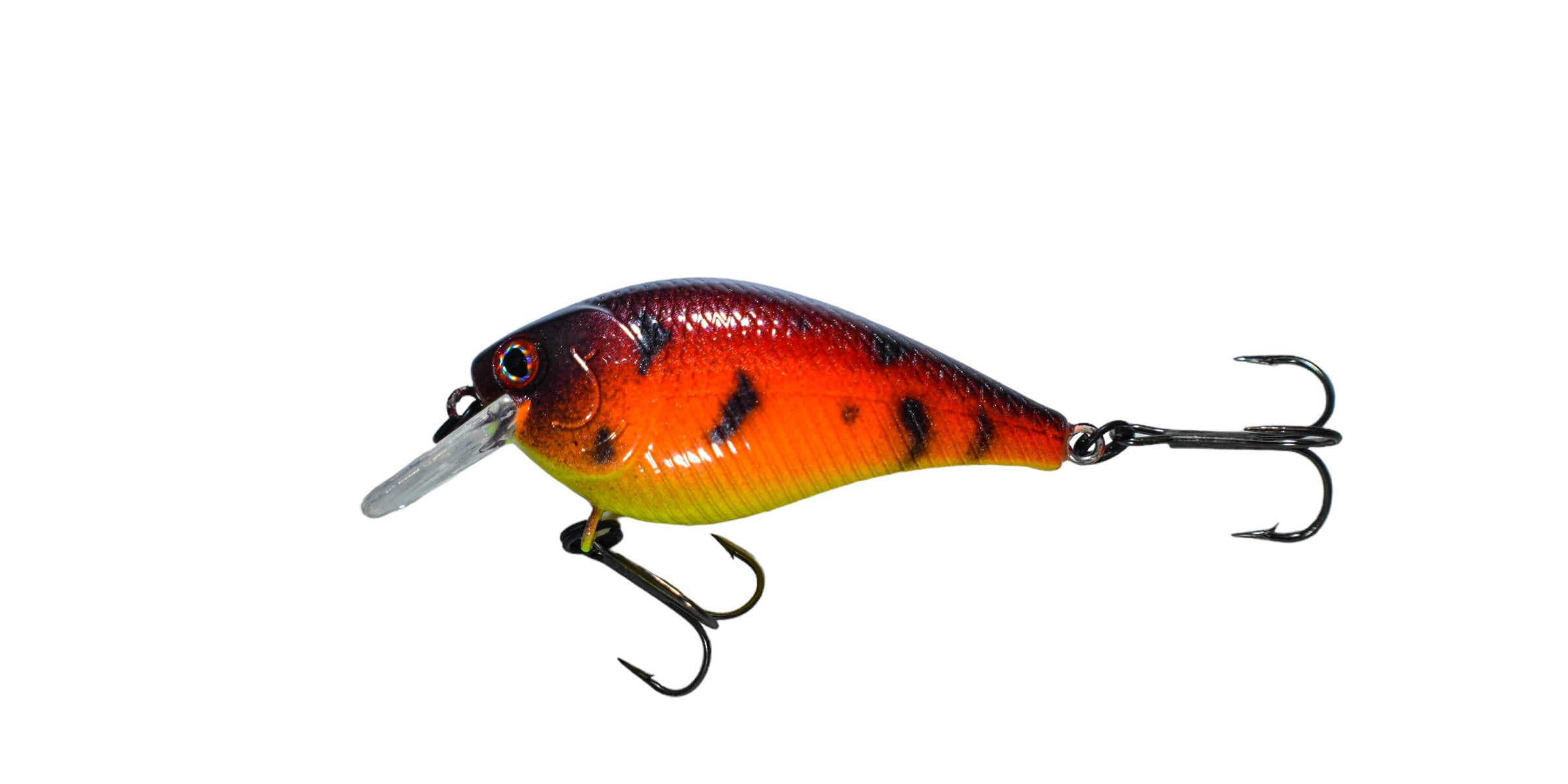 Tequila Sunrise Craw