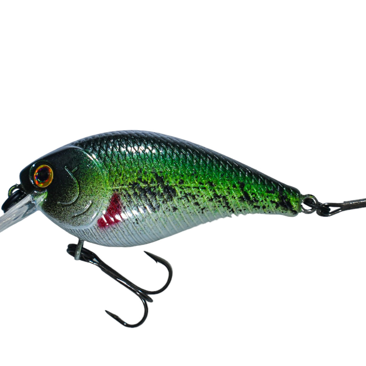 Baby Bass Baby Bass