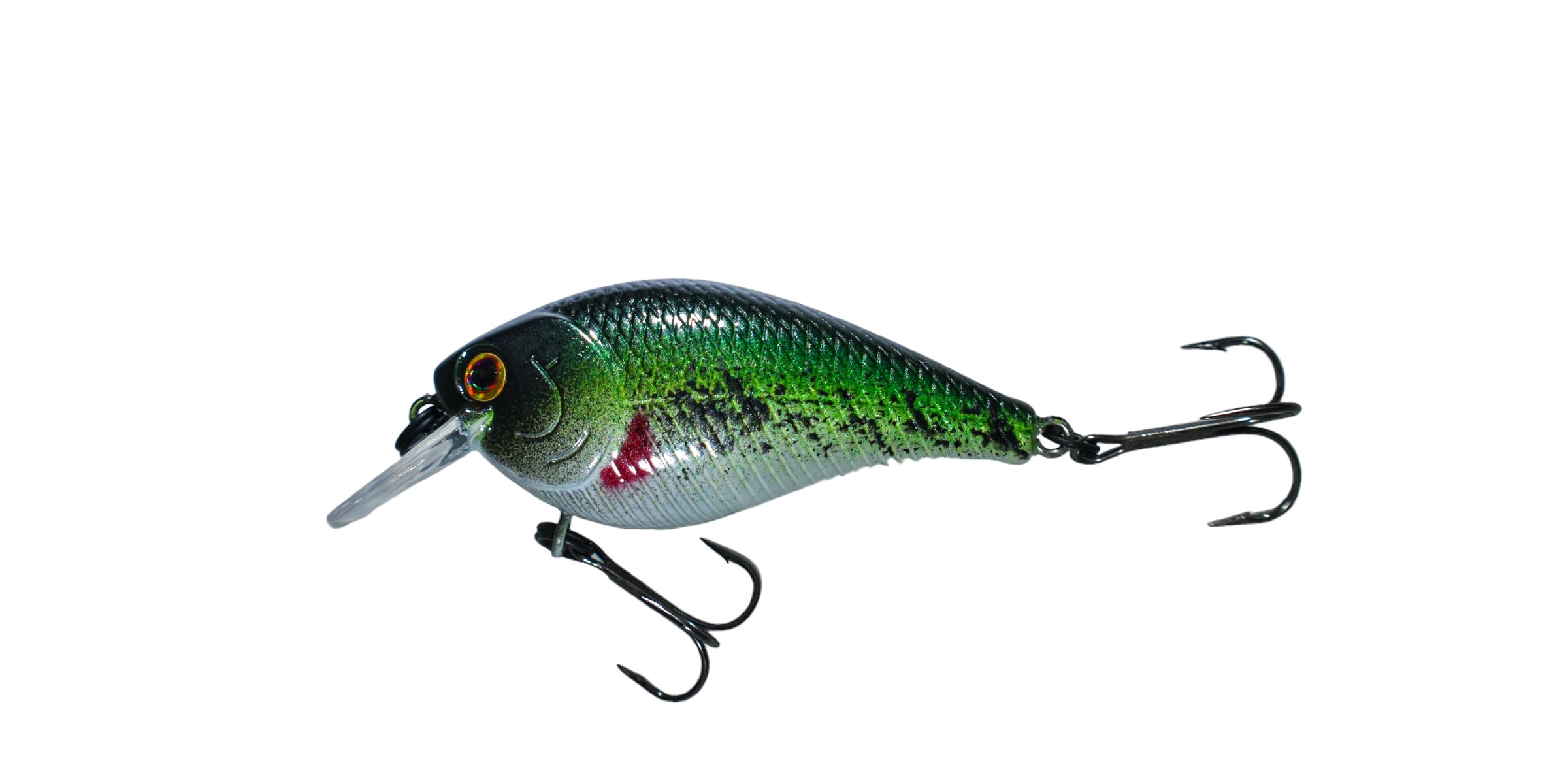 Baby Bass