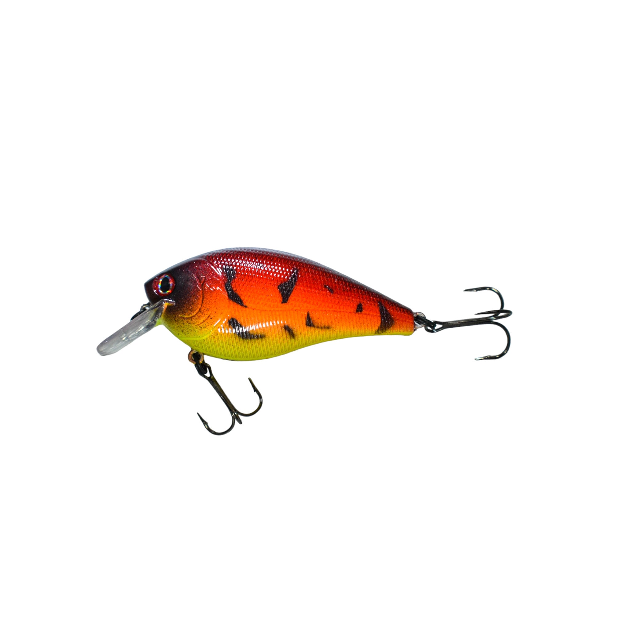 Tequila Sunrise Craw