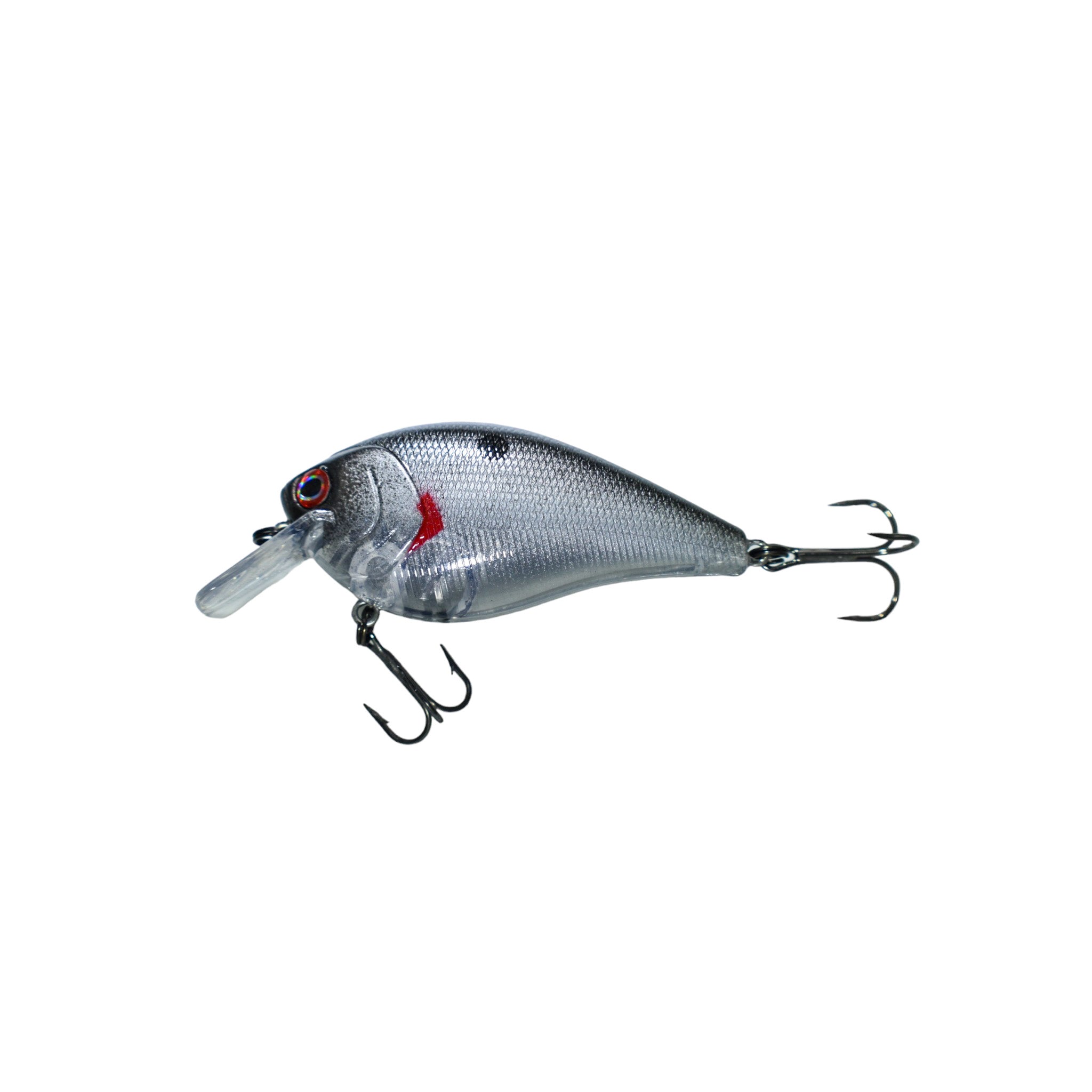 Clear Shad