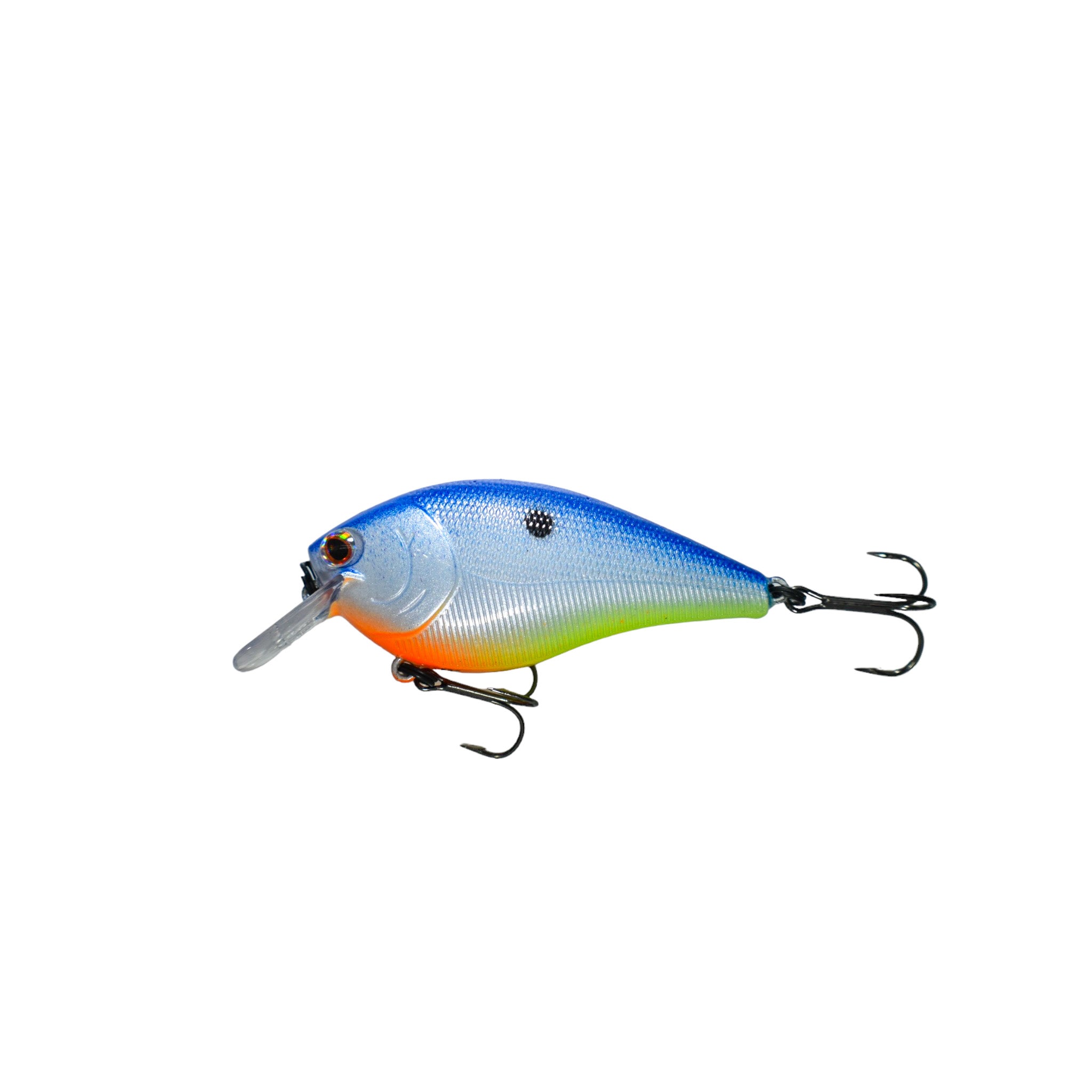 Shad Highlight