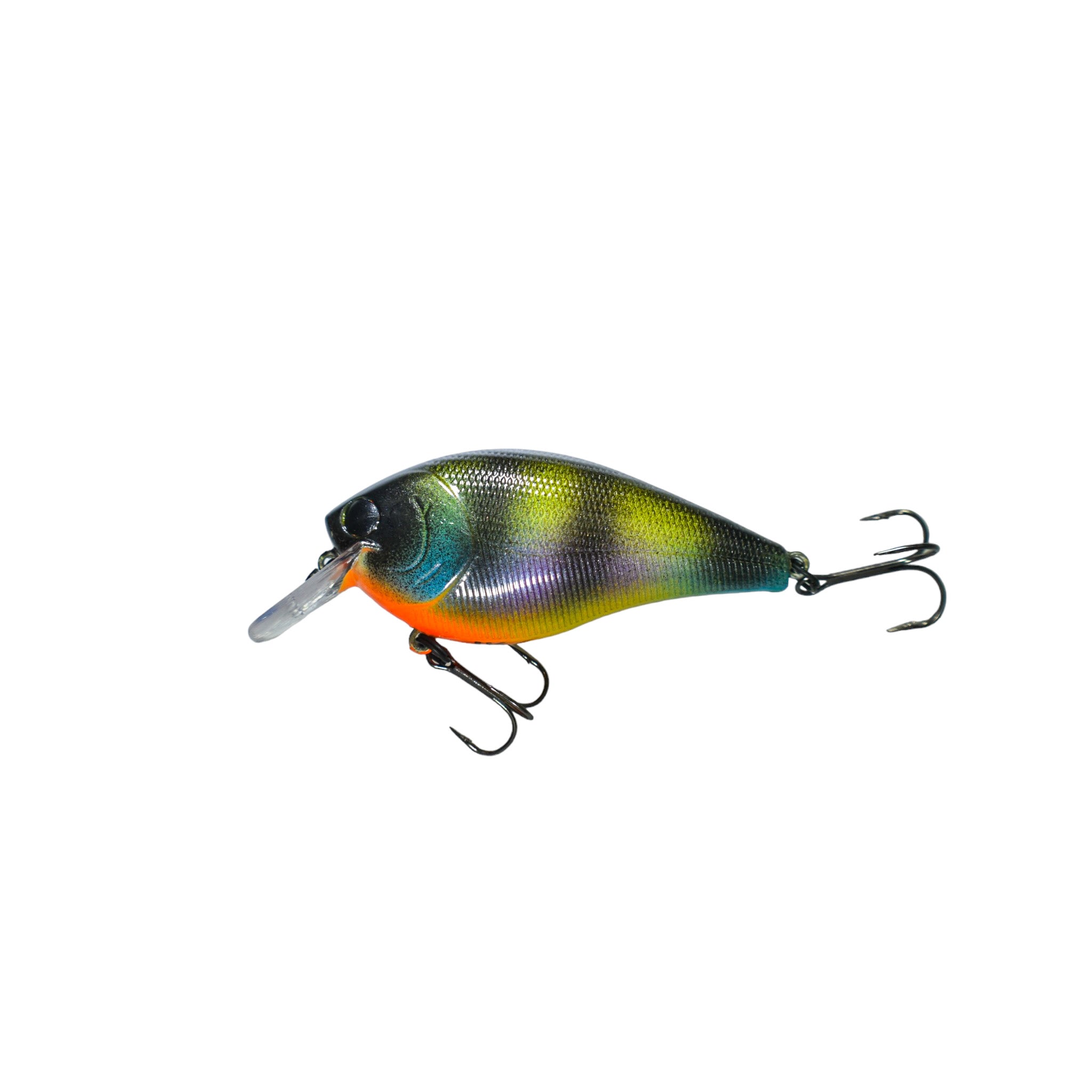 Bluegill