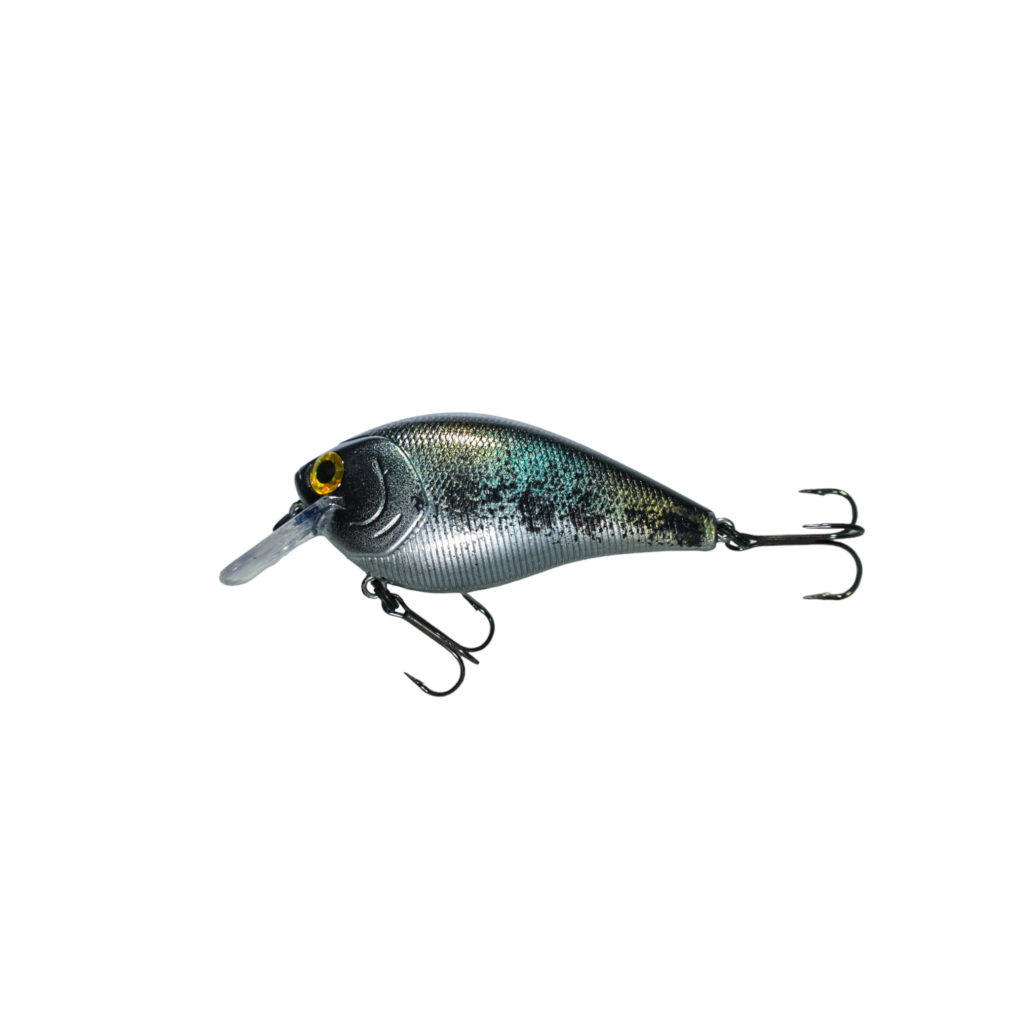 Crappie