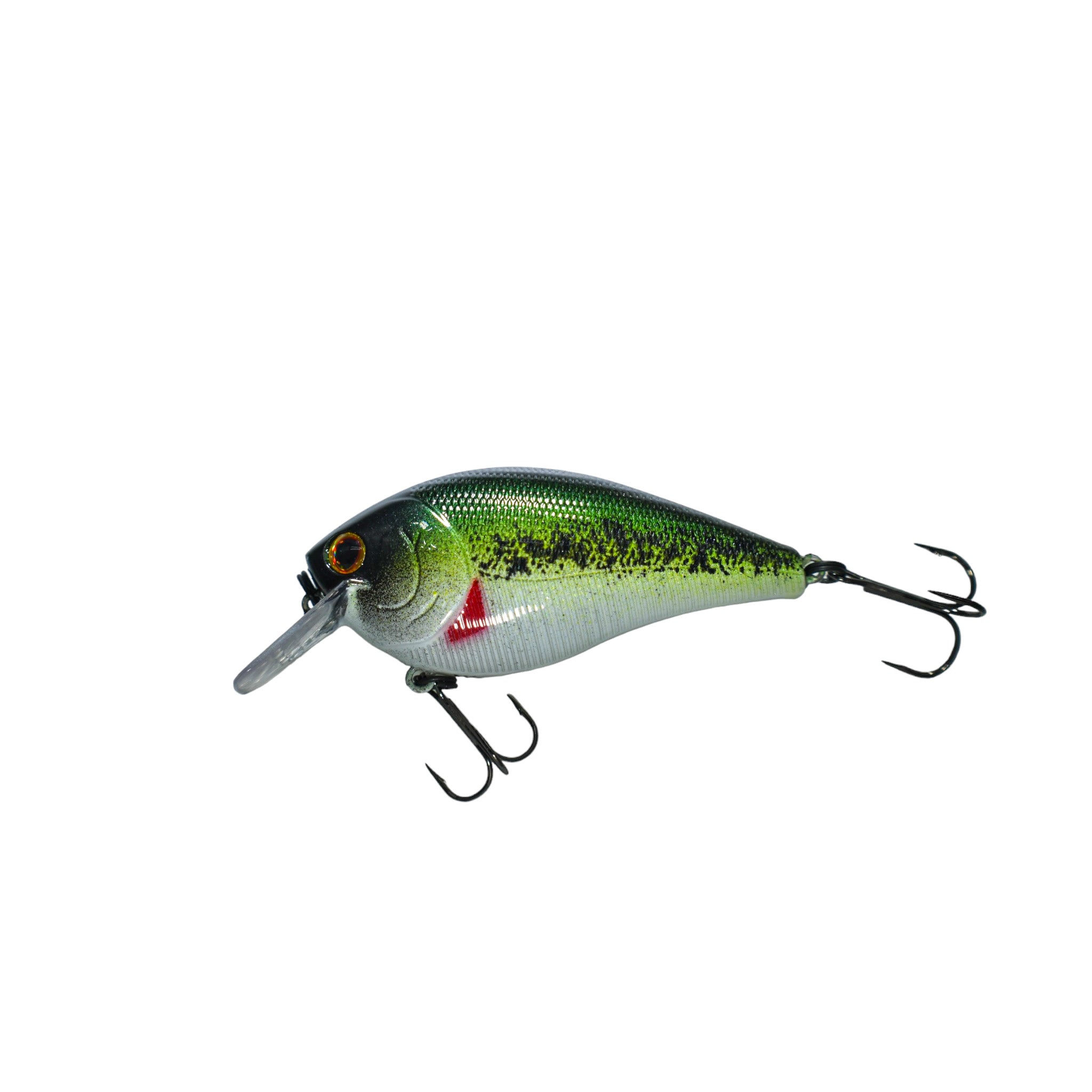 Baby Bass