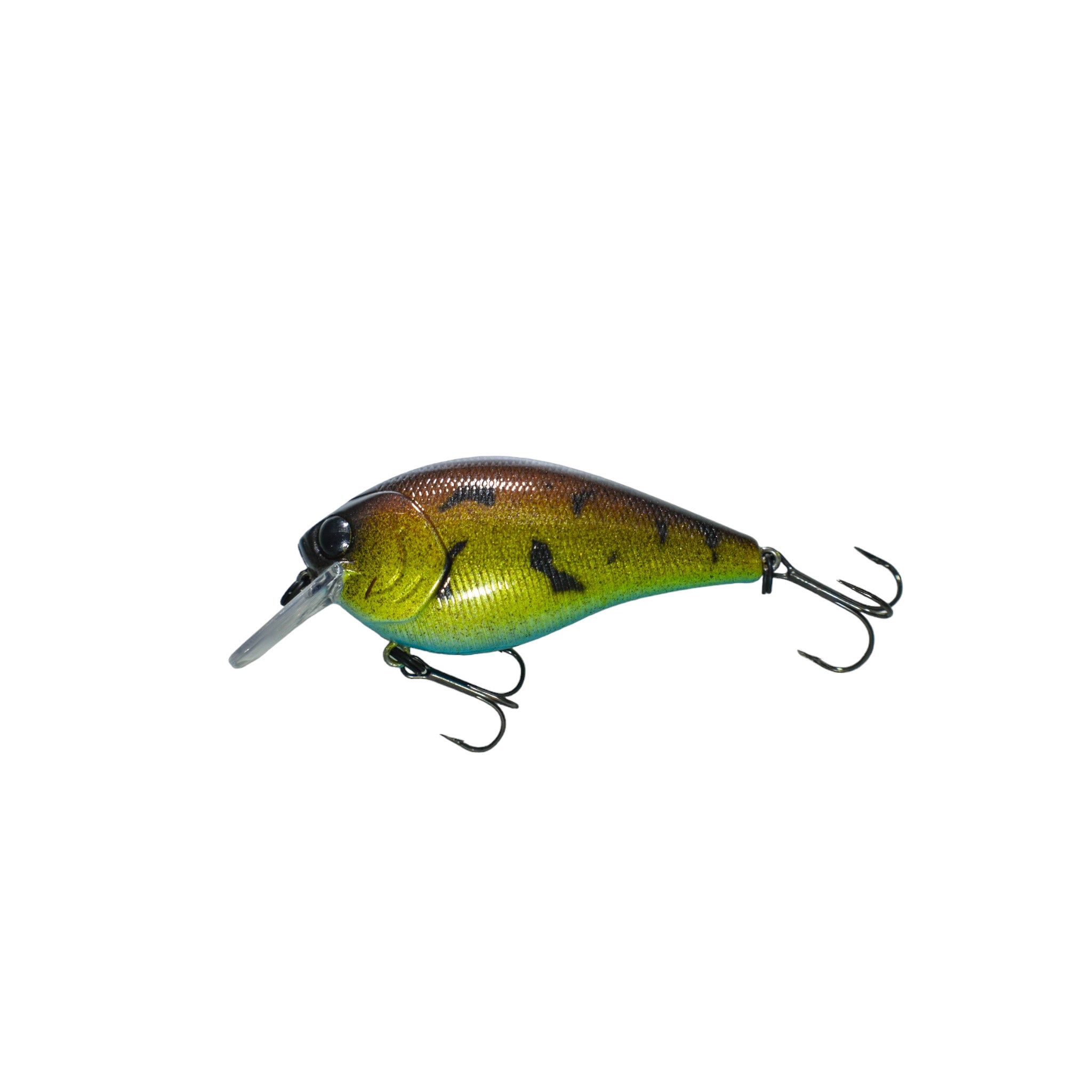 Mud Craw